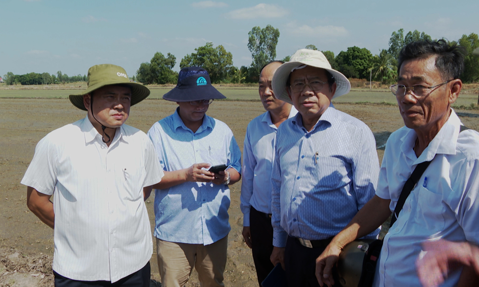 Bộ NN&PTNT khảo sát đề án 1 triệu hecta  chuyên canh lúa chất lượng cao