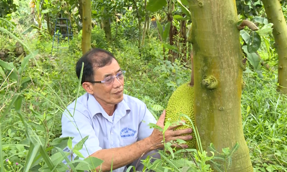 Phát huy vai trò “Tuổi cao - Gương sáng”