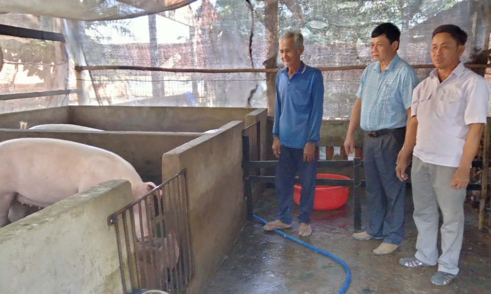 Tân Hưng tổng kết mô hình nuôi heo thịt an toàn