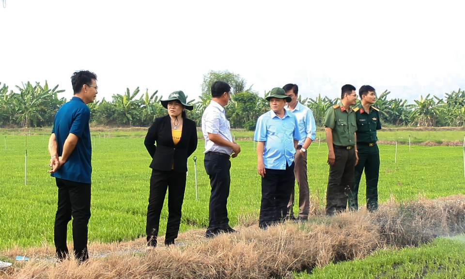 Tân Trụ thẩm định 02 xã Lạc Tấn, Tân Bình, xã nông thôn mới nâng cao