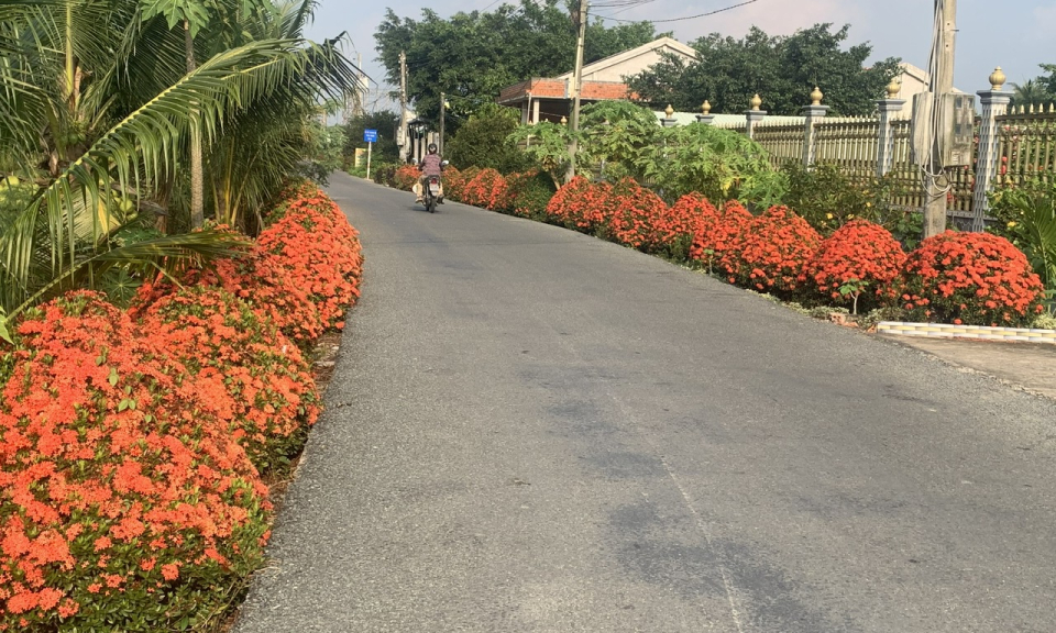 Những tuyến đường rực rỡ sắc hoa tại huyện Châu Thành