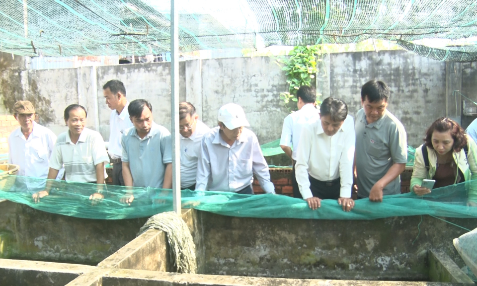 Đoàn công tác của huyện Mỏ Cày Bắc, tỉnh Bến Tre tham quan mô hình nuôi rắn ri voi tại Tân Hưng