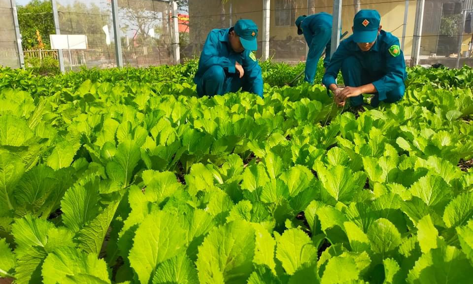 Chốt dân quân biên giới chủ động bảo đảm nguồn rau xanh cho đơn vị