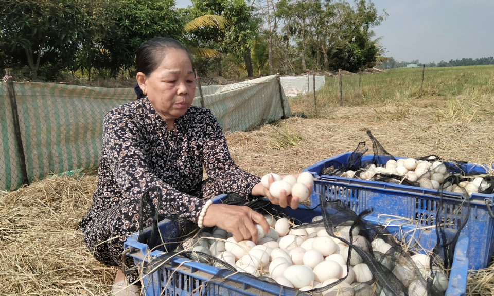 Tân Hưng: Phụ nữ vùng biên vượt khó phát triển kinh tế