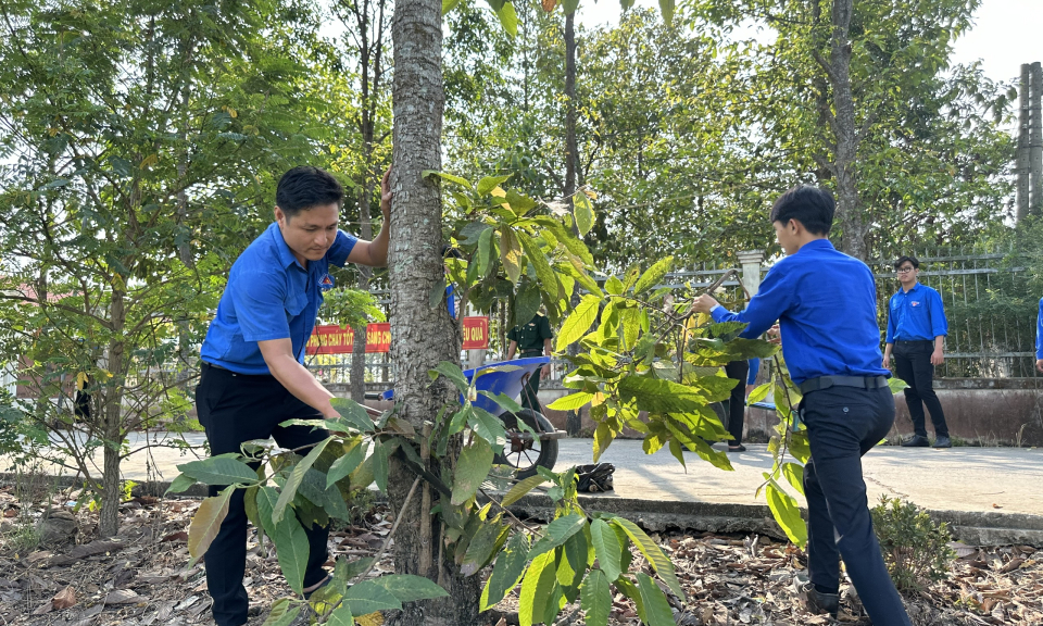 Tuổi trẻ Tân Trụ ra quân hưởng ứng “Ngày Chủ nhật xanh” năm 2024