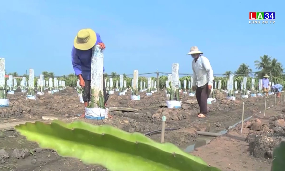 Một số lưu ý khi sử dụng nước tưới trong canh tác nông nghiệp vào mùa khô