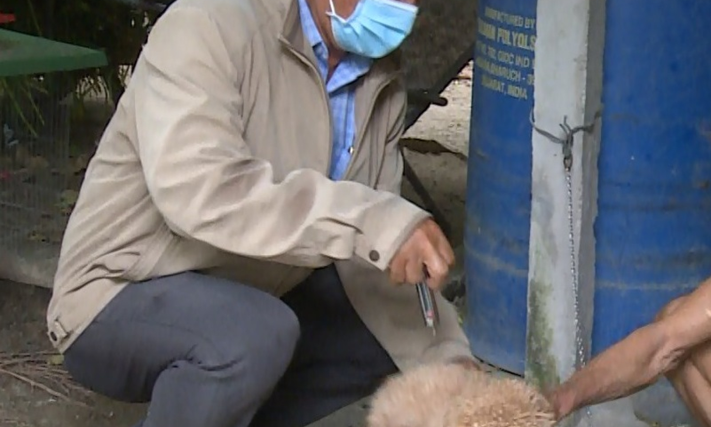 Huyện Châu Thành ra quân tiêm vắc-xin phòng dại cho đàn chó, mèo