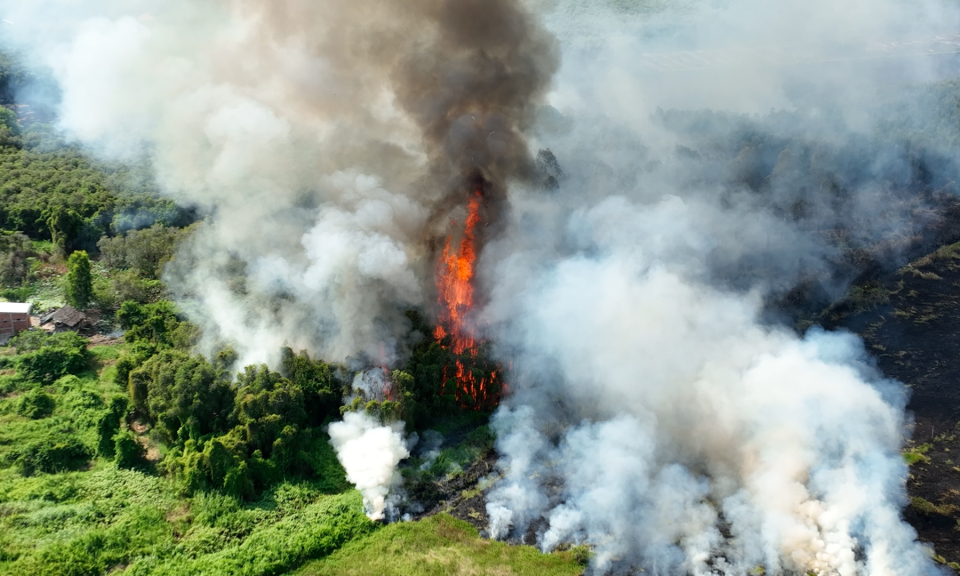 Cháy rừng ở huyện Tân Thạnh