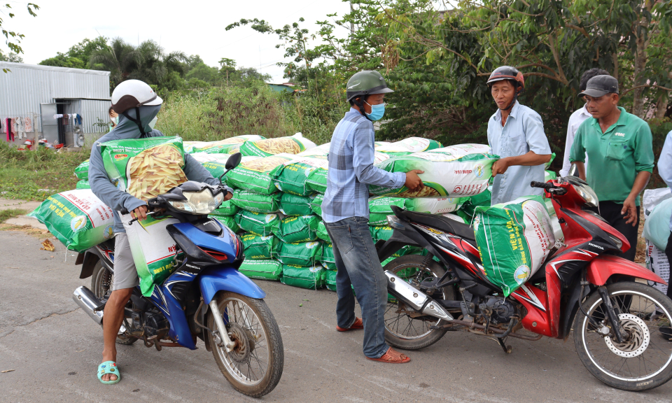 Cần Đước hỗ trợ giá giống lúa xác nhận cho nông dân