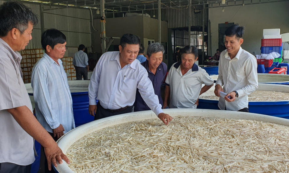 Tân Thạnh: Tọa đàm kết nối vùng trồng sen nguyên liệu phát triển theo chuỗi  giá trị xuất khẩu