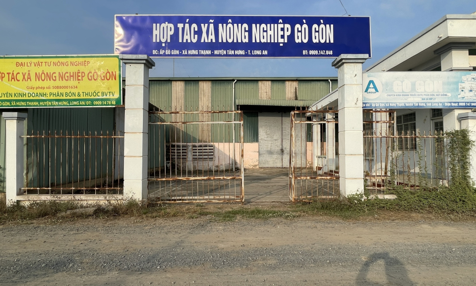 Liên minh Hợp tác xã tỉnh khảo sát tại huyện Tân Hưng