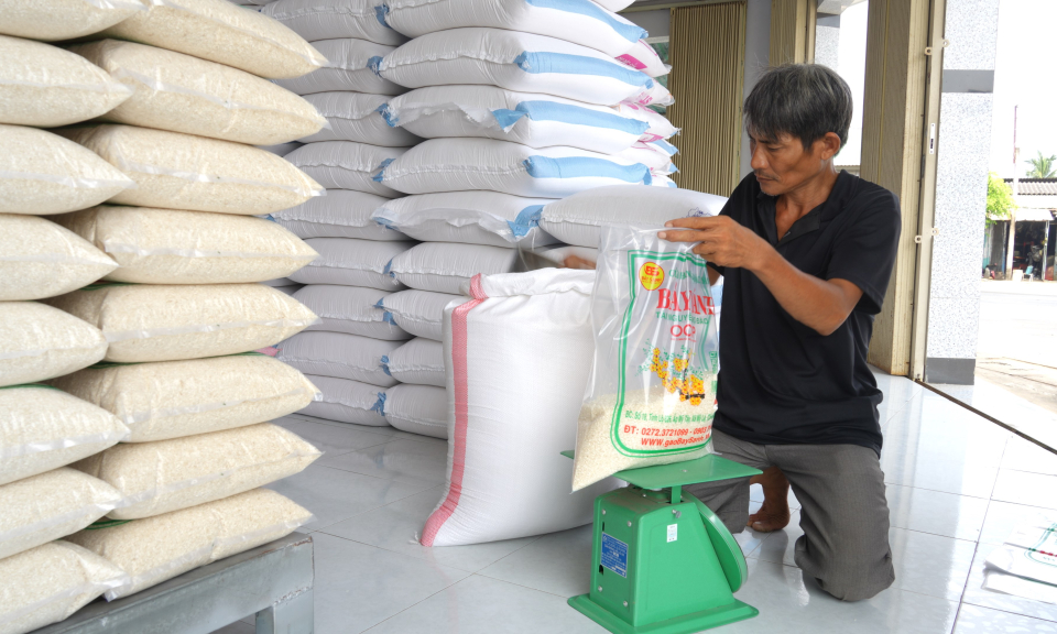 Các loại gạo đặc sản ở Cần Đước được công nhận sản phẩm OCOP 