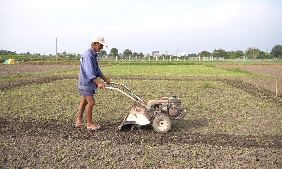 Long An: Khoảng 60% diện tích đất bị chua hóa trên tổng diện tích đánh giá
