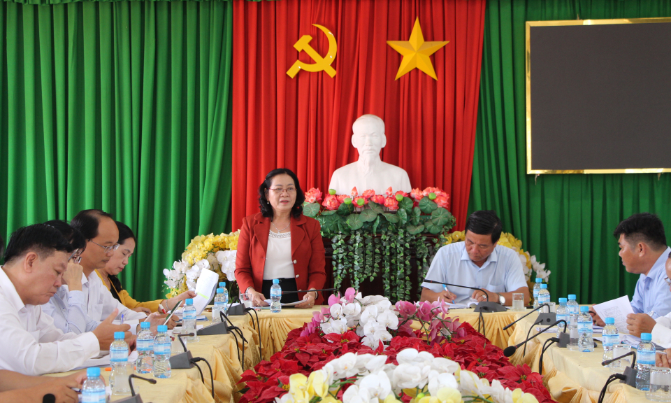 Thủ Thừa giám sát công tác huy động, quản lý, sử dụng nguồn lực thực hiện Chương trình xây dựng nông thôn