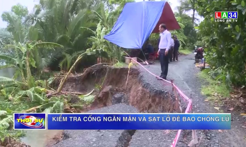 Kiểm tra cống ngăn mặn và sạt lở đê bao chống lũ