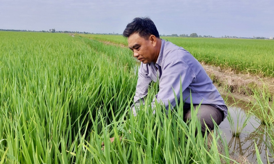 Vượt khó trở thành ông dân sản xuất, kinh doanh giỏi 