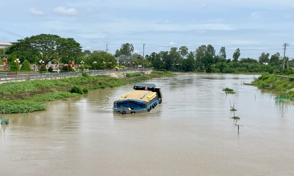 Tân Hưng mực nước lũ cao hơn 50cm sơ với cùng kỳ năm 2023