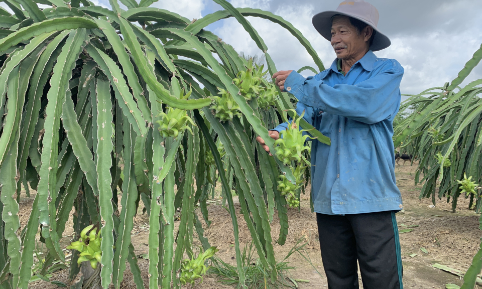 Châu Thành không còn hộ Cựu chiến binh nghèo