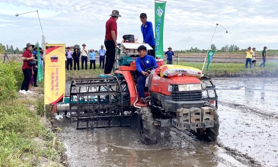 Trình diễn mô hình canh tác lúa chất lượng cao và giảm phát thải tại Tân Hưng