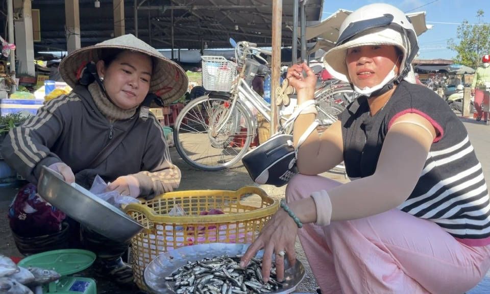 Cá linh non - đặc sản mùa nước nổi đã xuất hiện ở Tân Hưng