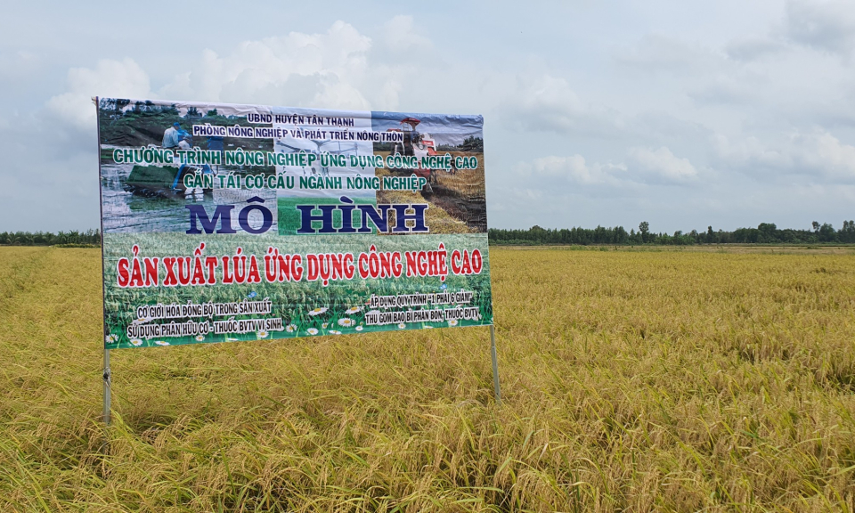 UBND huyện Tân Thạnh tổng kết sản xuất nông nghiệp năm 2024