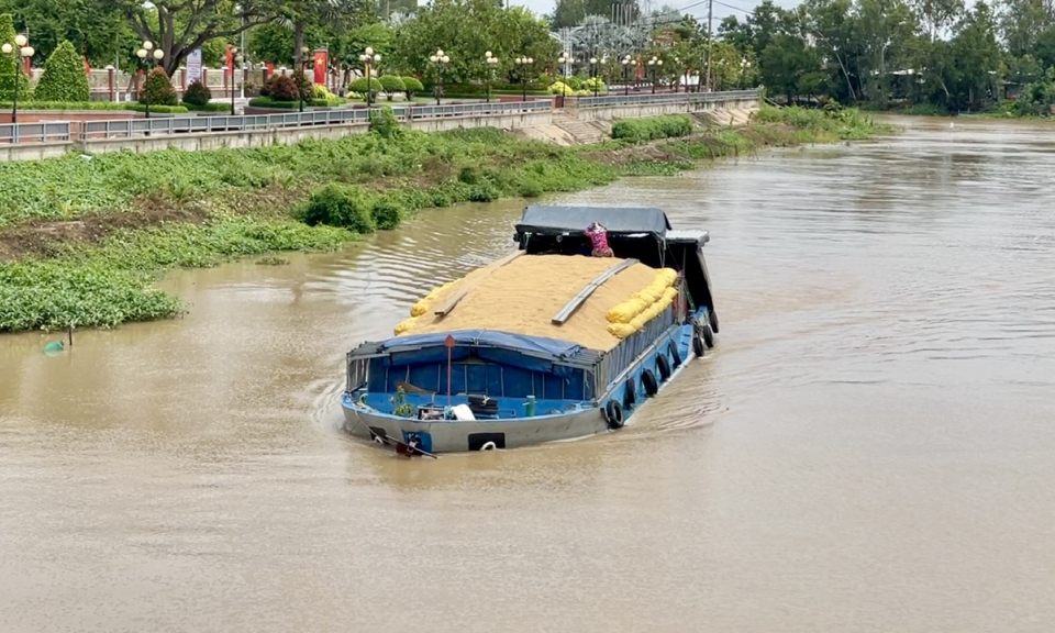 Tân Hưng mực nước liên tục tăng trong những ngày qua