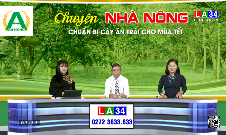 Chuyện nhà nông: Chuẩn bị cây ăn trái cho mùa Tết