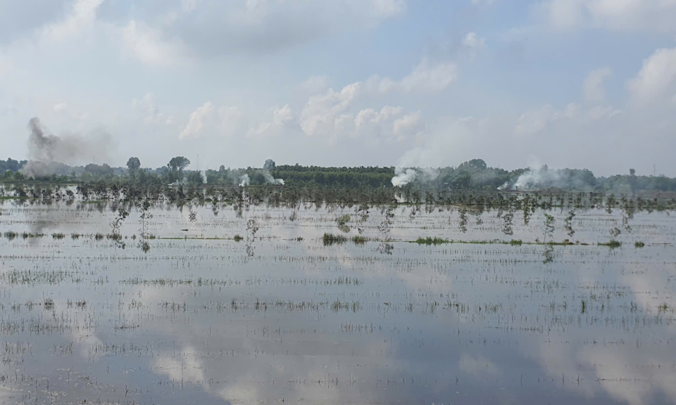Huyện Tân Thạnh bế mạc diễn tập khu vực phòng thủ huyện năm 2024