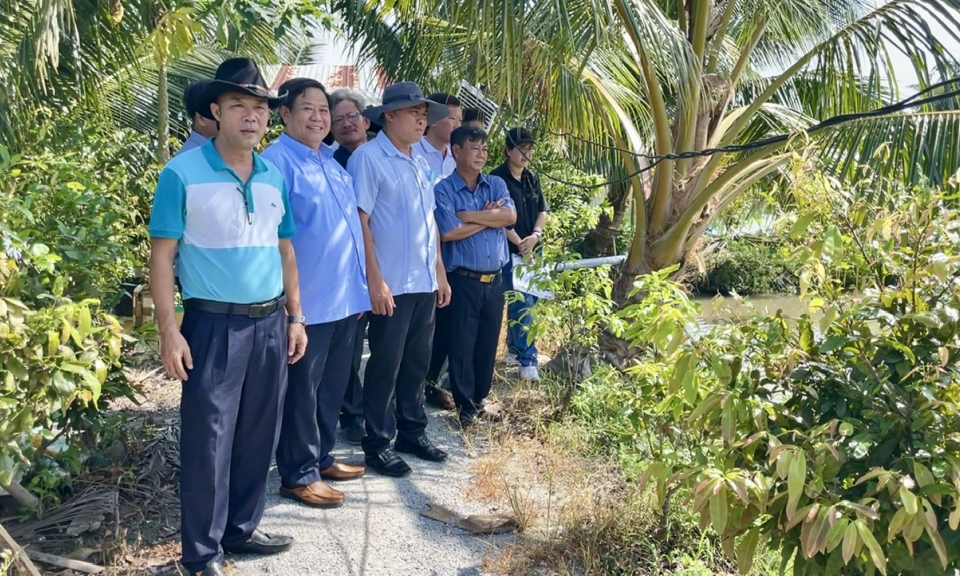 Nông dân Tân Hưng tham quan mô hình nuôi cá chình tại tỉnh Kiên Giang