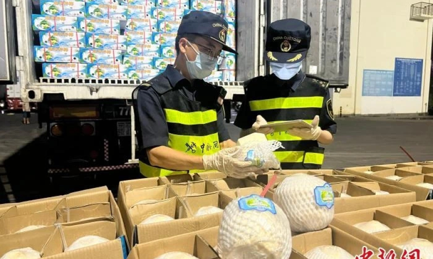 Những lô dừa tươi Việt Nam đầu tiên có mặt tại thị trường Trung Quốc