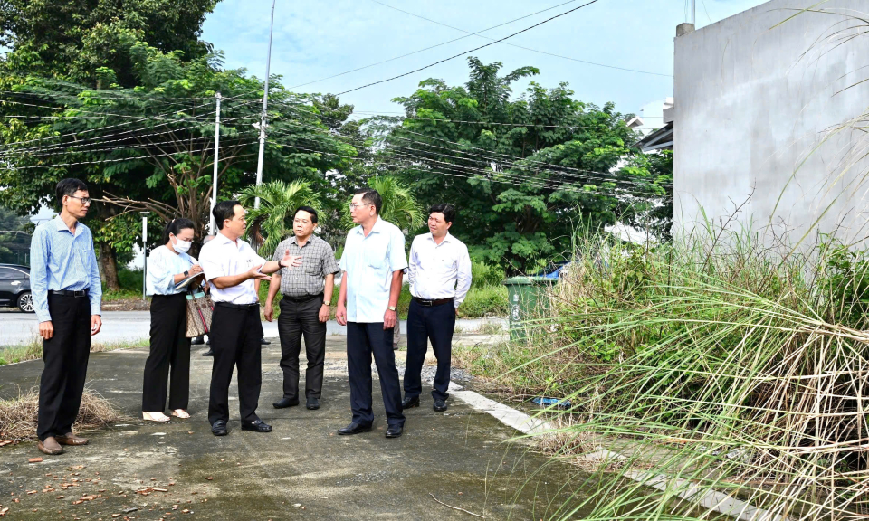 Ban Pháp chế HĐND tỉnh giám sát việc cấp giấy chứng nhận quyền sử dụng đất tại Bến Lức