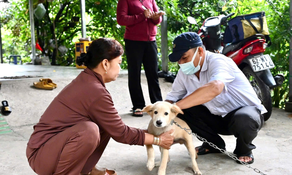 Bến Lức khẩn trương tiêm phòng bệnh Dại trên đàn chó, mèo