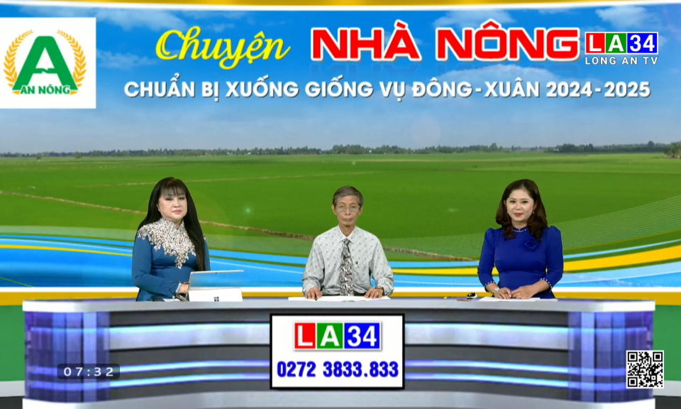 Chuyện nhà nông: Chuẩn bị xuống giống vụ Đông Xuân 2024-2025