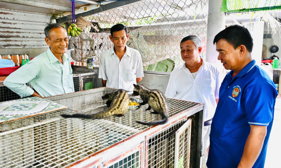 Bến Lức hướng đi mới trong chăn nuôi của nông dân xã Nhựt Chánh