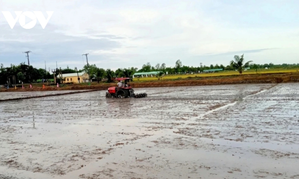 Thủ tướng chỉ đạo chủ động phòng, chống hạn hán, thiếu nước, xâm nhập mặn