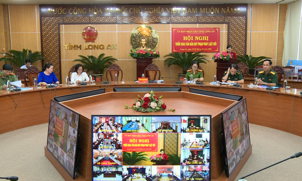 Hội nghị trực tuyến triển khai văn bản quy phạm pháp luật đợt II năm 2024
