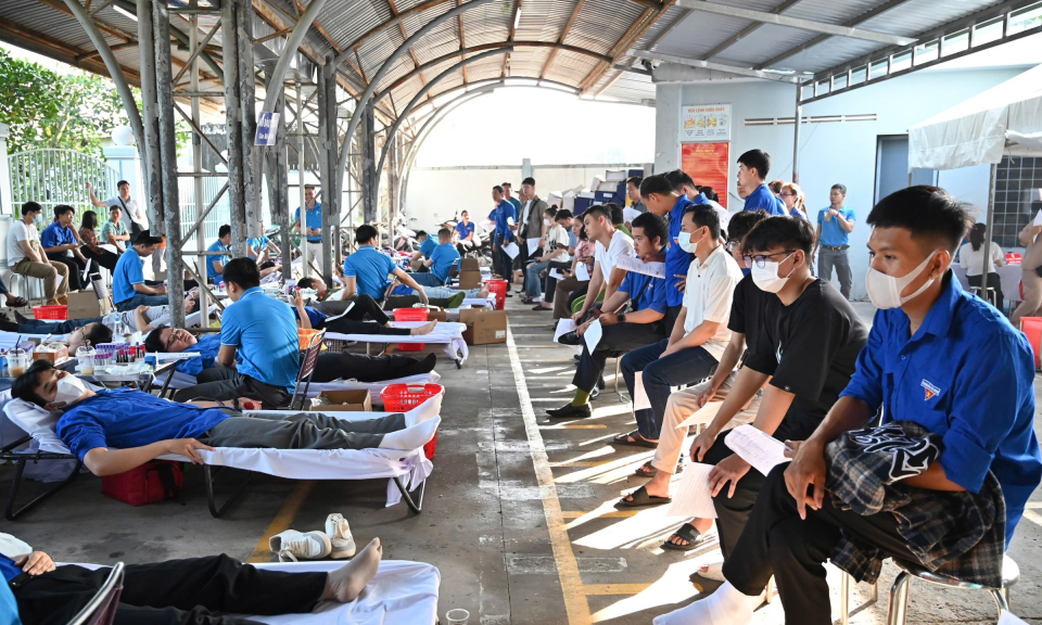 Hơn 200 đơn vị máu được hiến tặng cứu người
