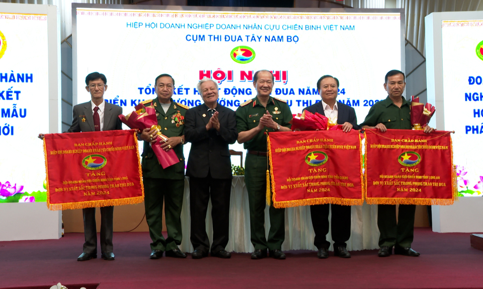 Hiệp hội Doanh nghiệp, Doanh nhân Cựu chiến binh Việt Nam Cụm Tây Nam bộ tổng kết thi đua