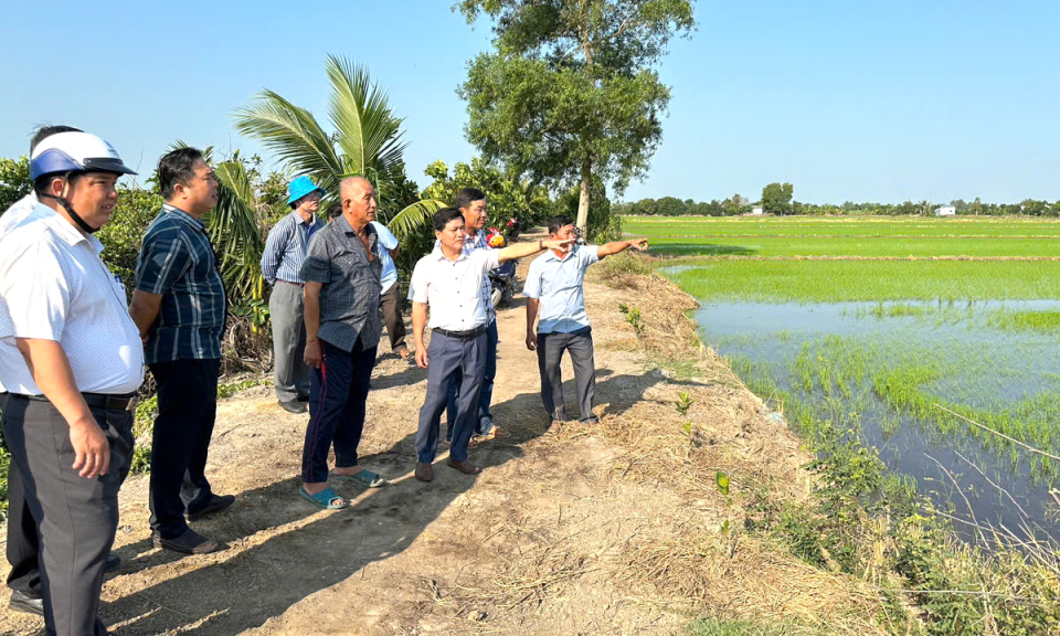 Bí thư Huyện ủy Tân Thạnh - Bùi Quốc Bảo kiểm tra tình hình sản xuất nông nghiệp
