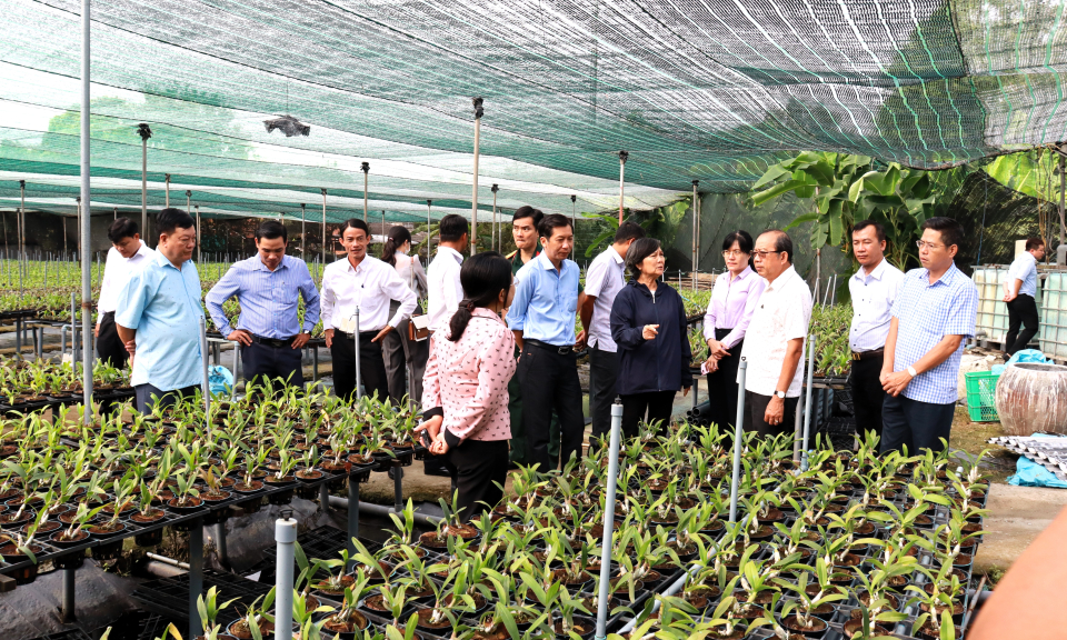 Thẩm định xã Phước Đông và Tân Ân đạt chuẩn nông thôn mới kiểu mẫu