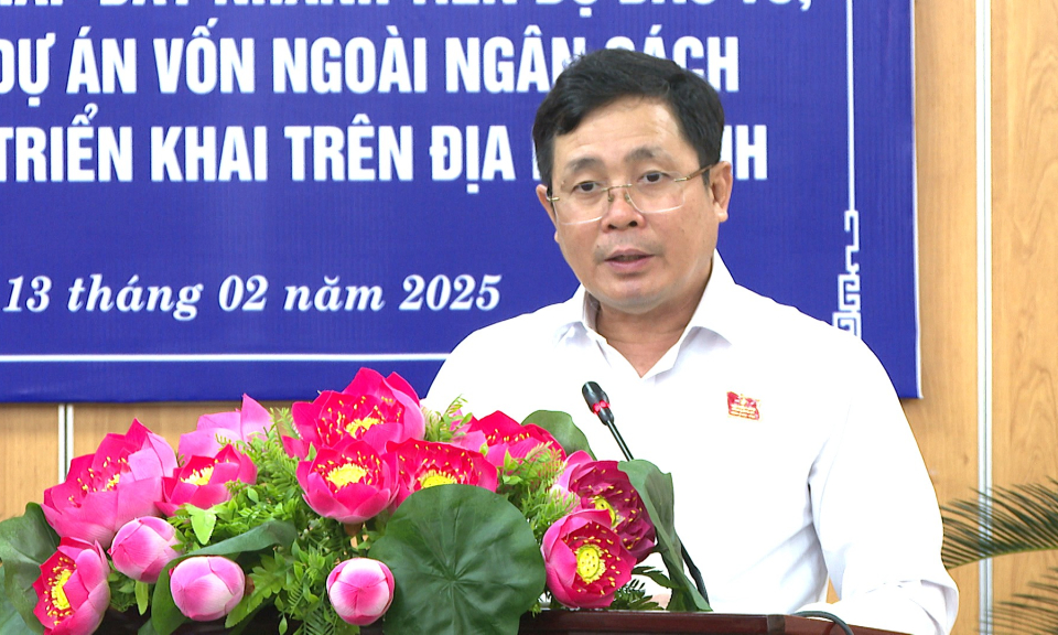 Long An xử lý các dự án vốn ngoài ngân sách có sử dụng đất 