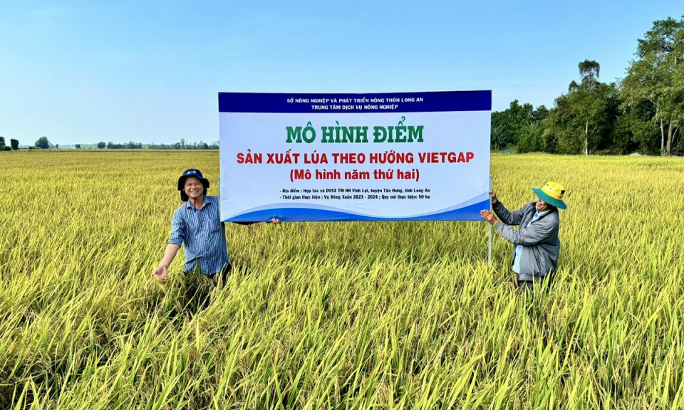 Tân Hưng quyết tâm hoàn thành diện tích lúa ứng dụng công nghệ cao năm 2025