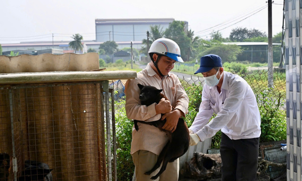 Bến Lức tiêm phòng vắc xin dại cho chó, mèo