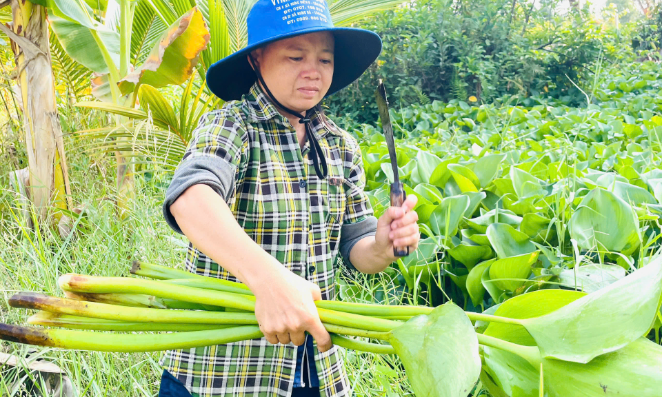  Hội viên phụ nữ Tân Hưng vùng biên vượt khó 