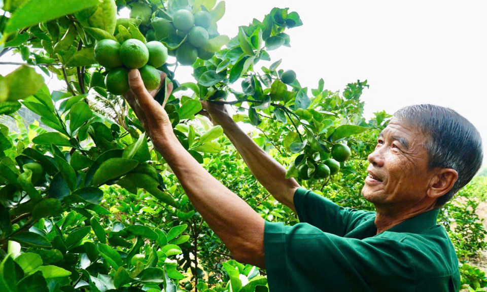 Phát huy vai trò của các cấp hội đoàn thể trong quản l, sử dụng vốn vay từ Ngân hàng Chính sách xã hội