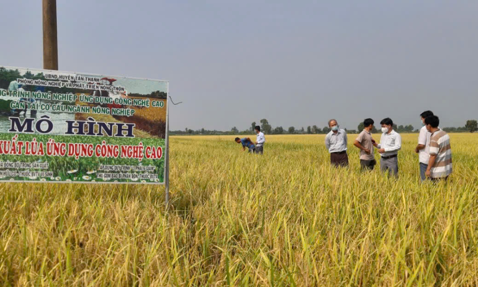 Tân Thạnh ứng dụng công nghệ cao vào  sản xuất Nông nghiệp