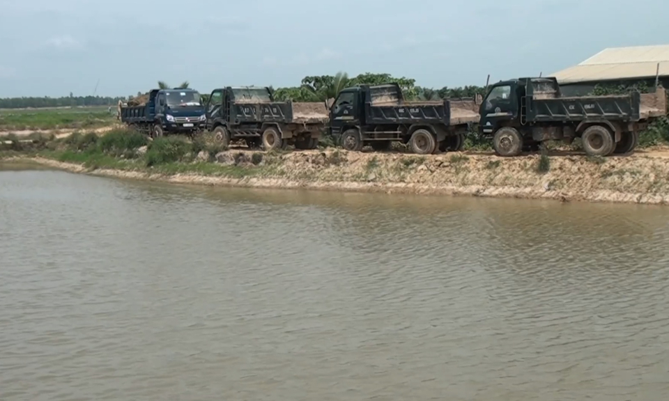Long An hơn 70 doanh nghiệp ký quỹ cải tạo, phục hồi môi trường