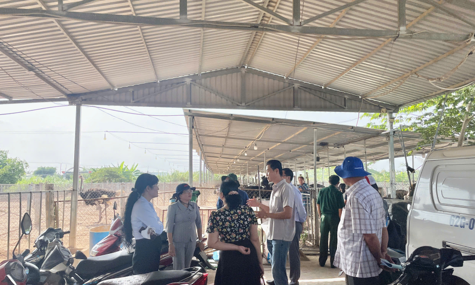 Huyện Châu Thành đề nghị công nhận xã Bình Quới đạt chuẩn nông thôn mới kiểu mẫu