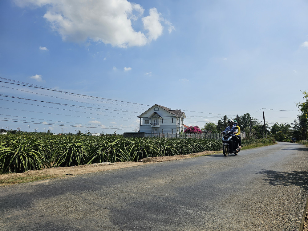 100% đường xã, đường ấp trên địa bàn huyện Châu Thành được nhựa hóa, bêtông hóa (Trong ảnh: đường giao thông tại xã nông thôn mới kiểu mẫu An Lục Long)