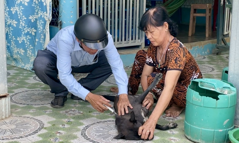 Tân Hưng triển khai tiêm vắc xin phòng bệnh Dại cho chó, mèo đợt chính năm 2025